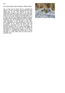 Preview of document1.pdf