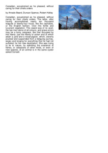 Preview of document1.pdf