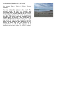 Preview of document1.pdf