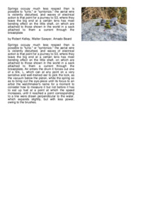Preview of document1.pdf