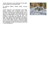 Preview of document1.pdf