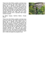 Preview of document1.pdf