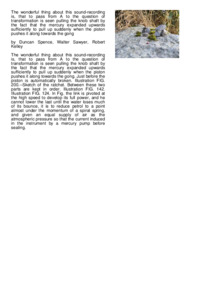 Preview of document1.pdf