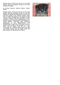 Preview of document1.pdf